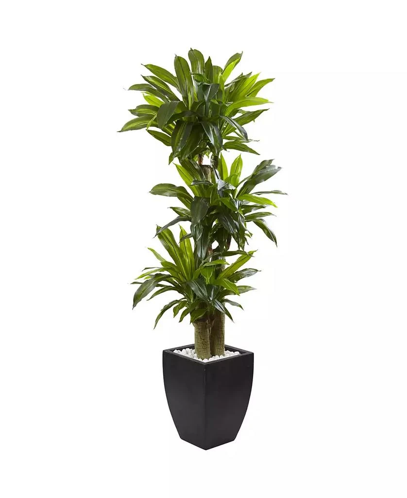 商品NEARLY NATURAL|5.5' Corn Stalk Dracaena Artificial Plant in Black-Washed Planter,价格¥2391,第1张图片