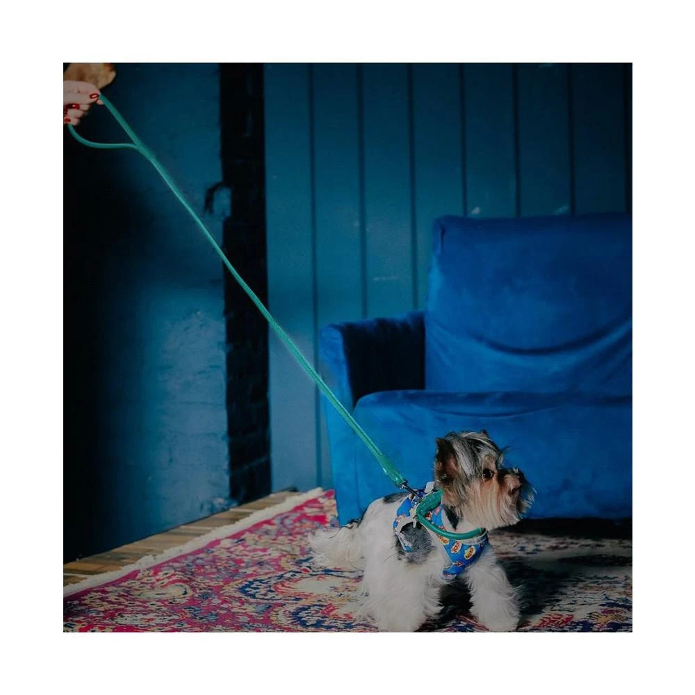 商品Waudog|Glamour genuine leather dog leash, rolled,价格¥268,第3张图片详细描述