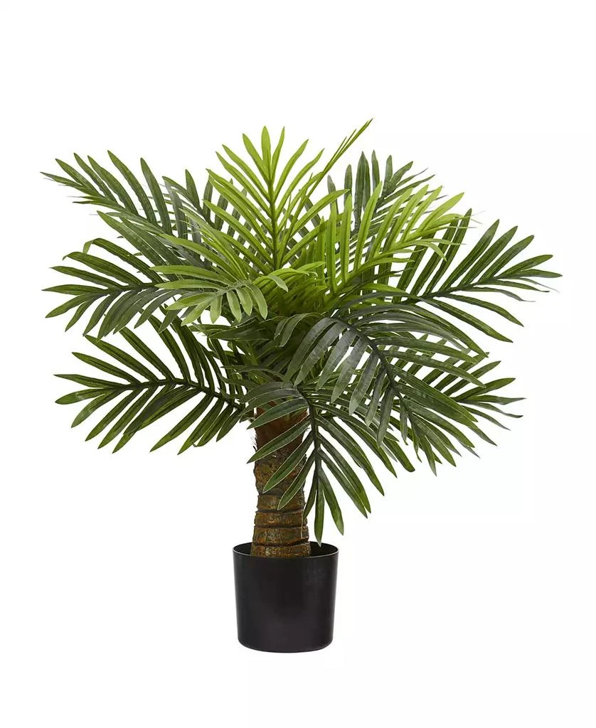 商品NEARLY NATURAL|26" Robellini Palm Artificial Tree,价格¥425,第1张图片