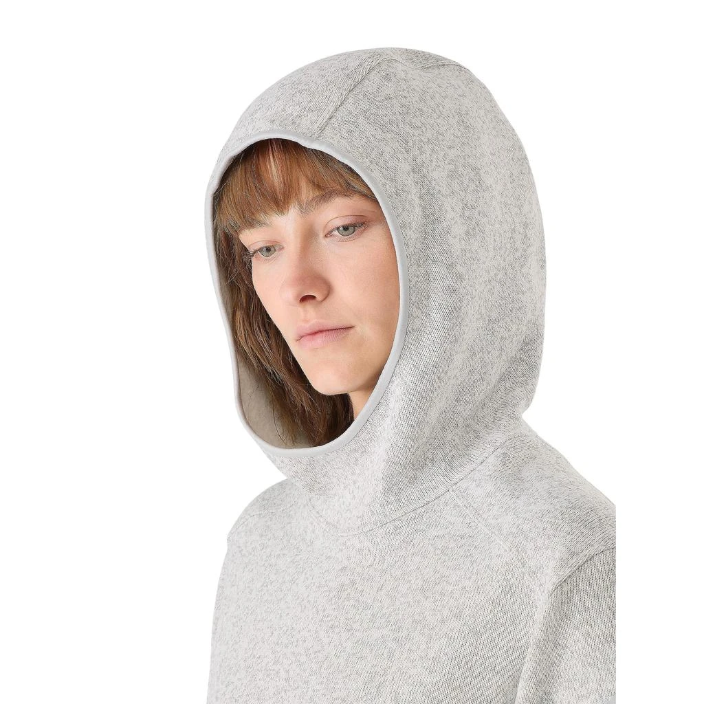 商品Arc'teryx|Covert Pullover Hoody,价格¥1489,第3张图片详细描述