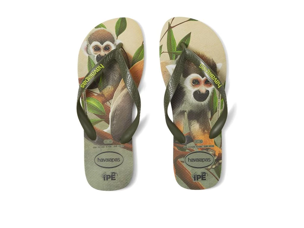 商品Havaianas|Ipe Flip Flop Sandal,价格¥223,第1张图片