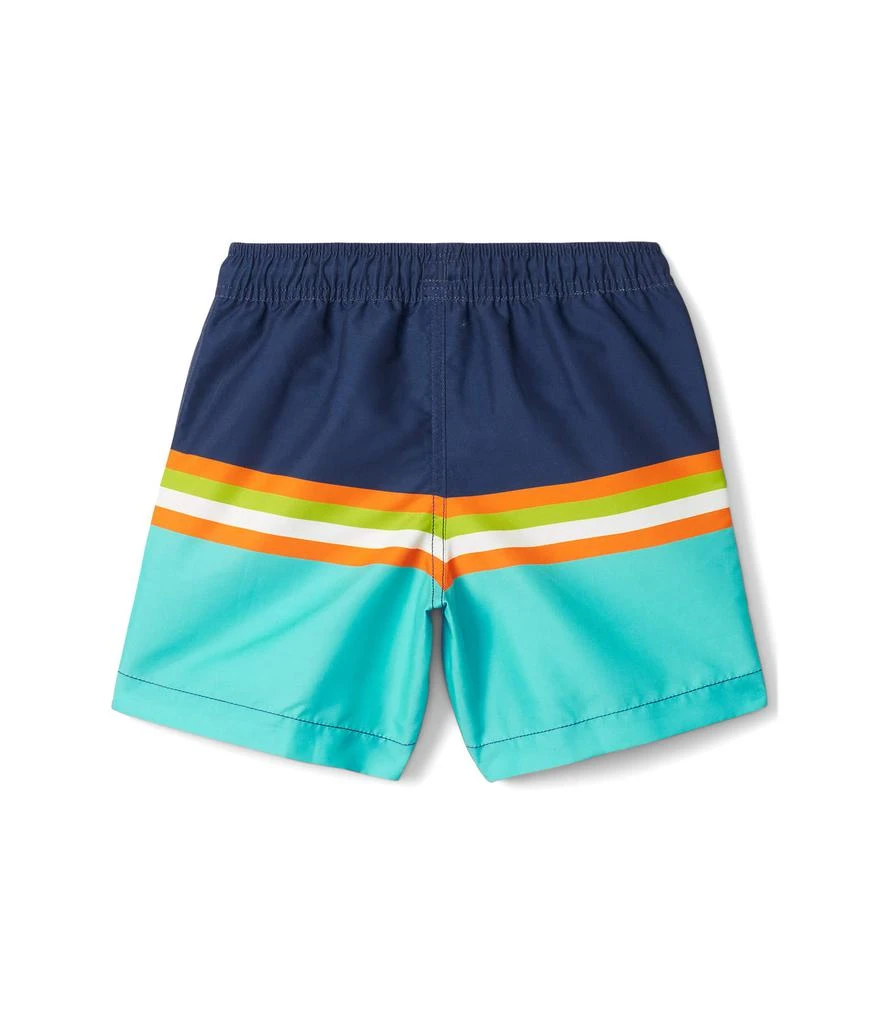 商品Hatley|Turtle Stripes Swim Trunks (Toddler/Little Kids/Big Kids),价格¥217,第2张图片详细描述