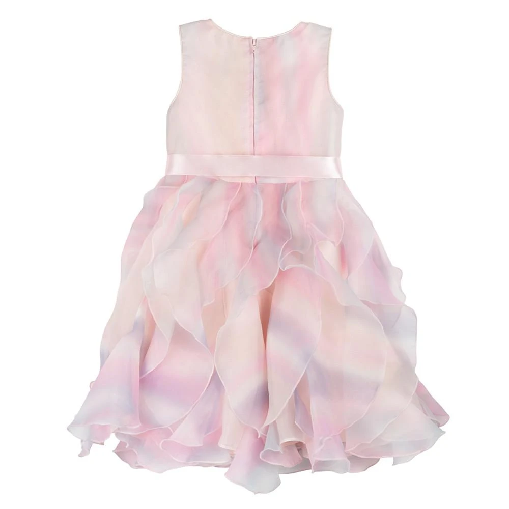 商品Rare Editions|Toddler Girls Sleeveless Sequin and Ombre Cascade Skirt Party Dress,价格¥247,第4张图片详细描述