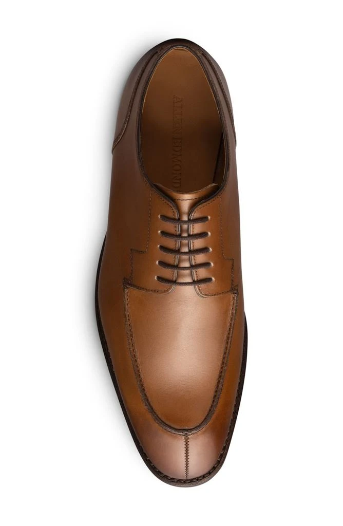 商品Allen Edmonds|Watson Leather Oxford,价格¥801,第5张图片详细描述