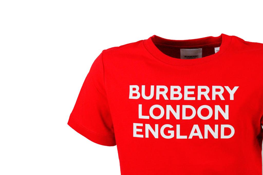 Burberry Short Sleeve Crew Neck T-shirt With Writing商品第2张图片规格展示