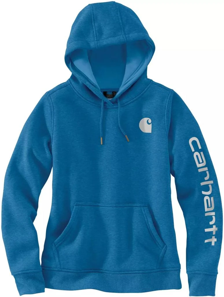 商品Carhartt|Carhartt Women's Clarksburg Graphic Sleeve Hoodie,价格¥349,第1张图片详细描述