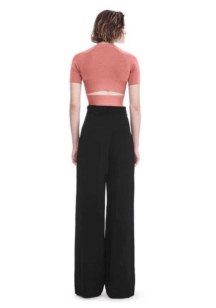 商品Alexander Wang|针织上衣,价格¥1017,第4张图片详细描述