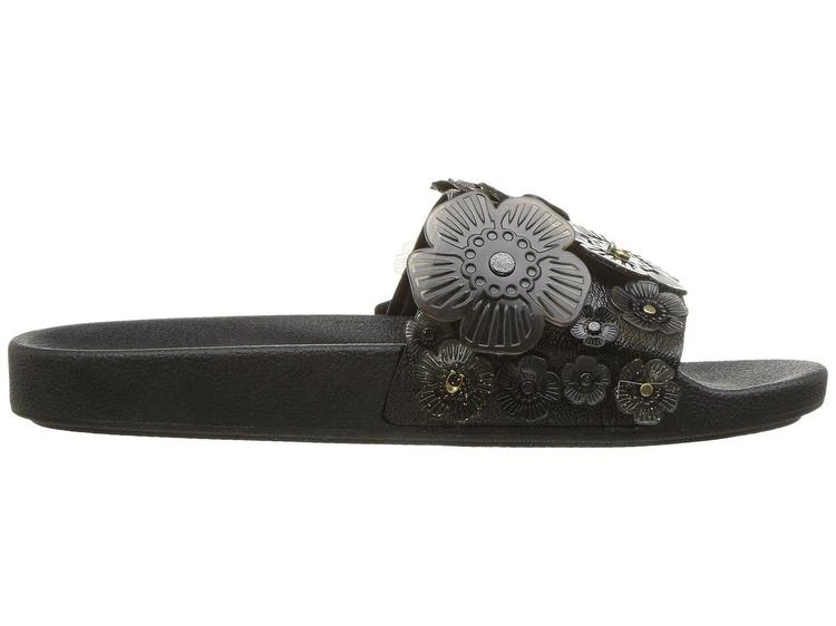 Sophi Slide with Tea Rose 商品