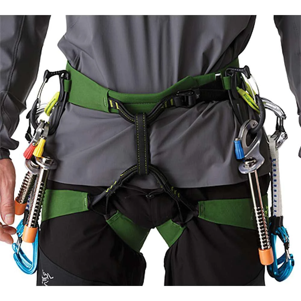 Arcteryx Men's FL-365 Harness 商品