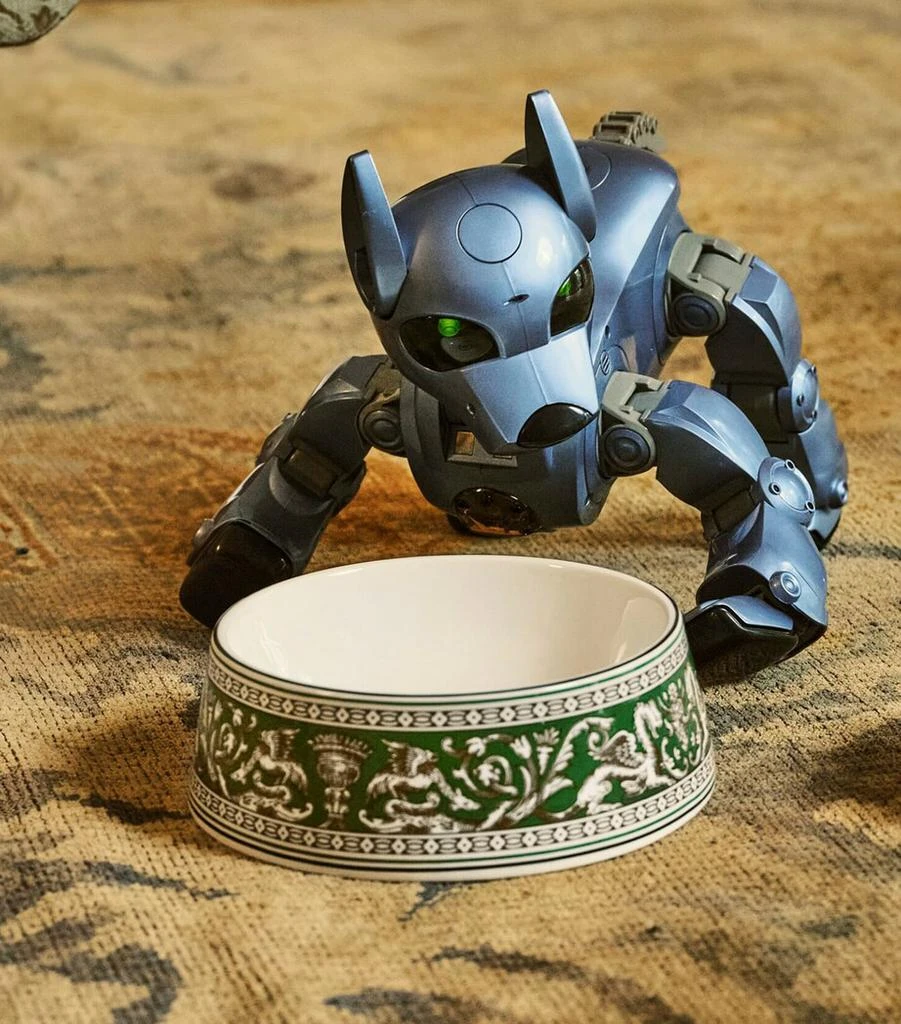 商品Wedgwood|Bone China Florentine Pet Bowl (21cm),价格¥1528,第2张图片详细描述