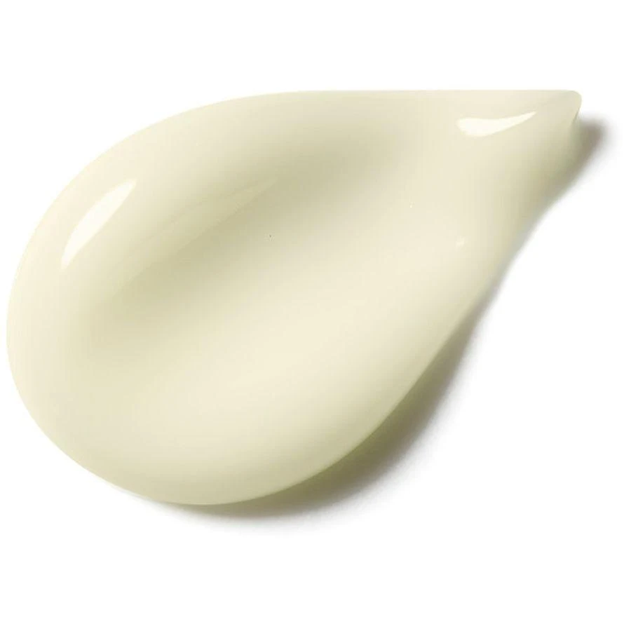 商品L'Oreal Paris|Pressed Night Moisturizer with Retinol + Niacinamide,价格¥223,第3张图片详细描述