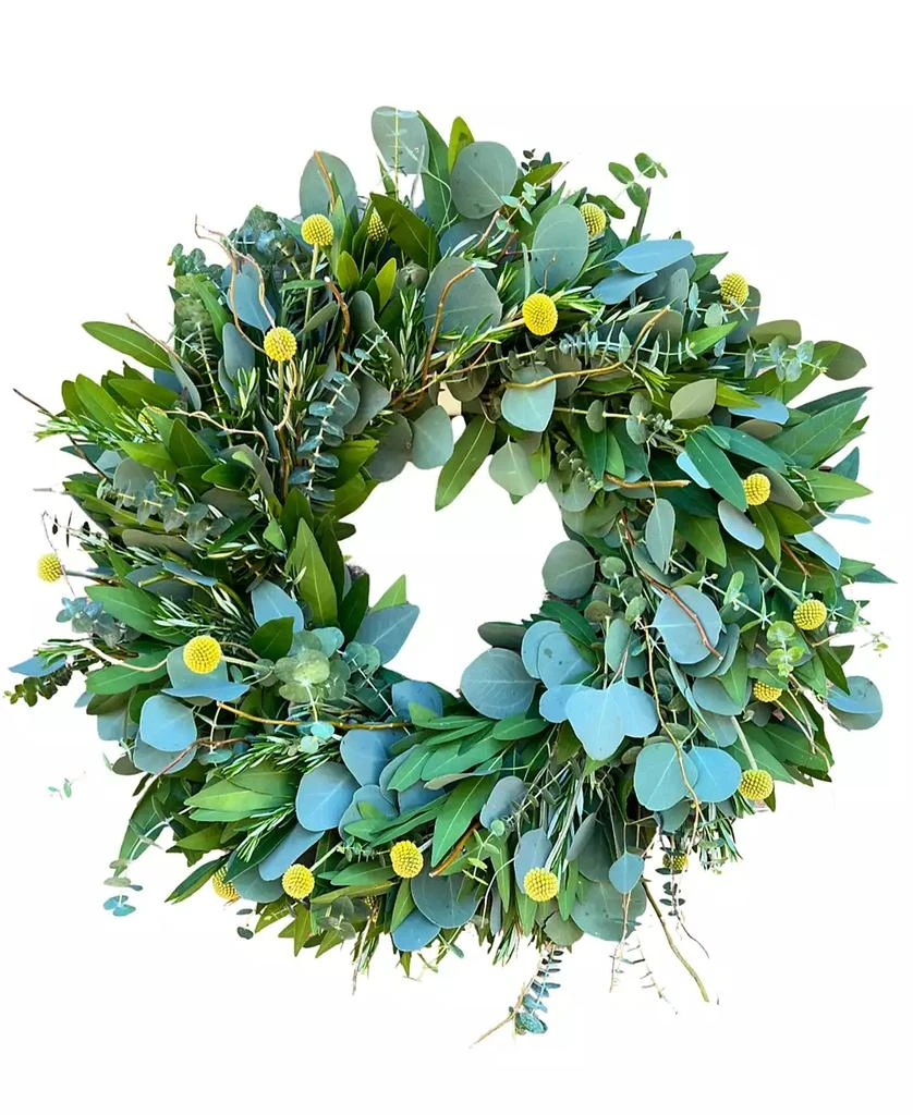 商品GreenishBlu|Bayleaf, Baby Blue Eucalyptus, Rosemary, Curly Willow and Yellow Billy Balls Real Aromatic Wreath, 22",价格¥733,第1张图片
