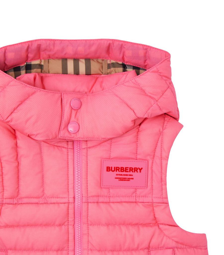 Horseferry Appliqué Padded Gilet (6-24 Months)商品第2张图片规格展示