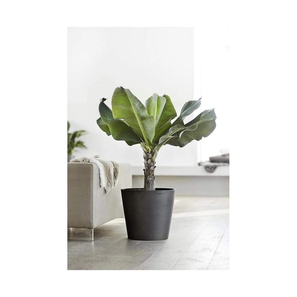 商品ECOPOTS|Amsterdam Round Plastic Flower Pot, Dark Grey, 16",价格¥373,第3张图片详细描述