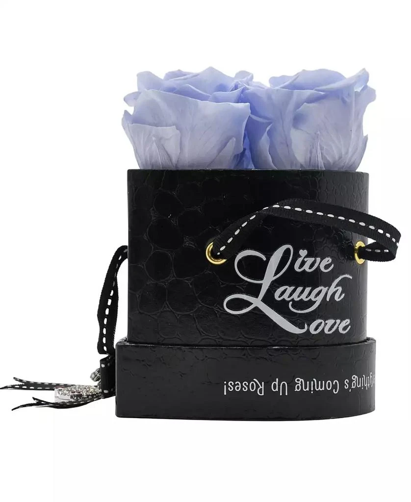 商品Rosepops|Pop-Up Live, Laugh, Love Heart Shaped Lavender Sachet Real Roses, Box of 3,价格¥604,第1张图片