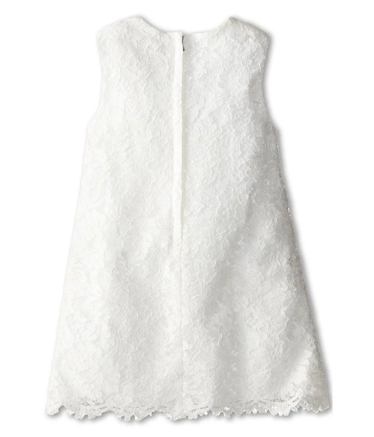 商品Dolce & Gabbana|幼儿/小童Dolce & Gabbana Kids Lace Sleeveless Dress (Toddler/Little Kids),价格¥2279,第2张图片详细描述