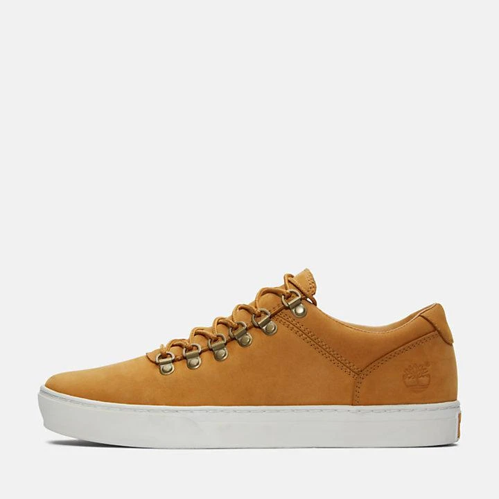 Adventure 2.0 Cupsole Alpine Sneaker for Men in Yellow 商品