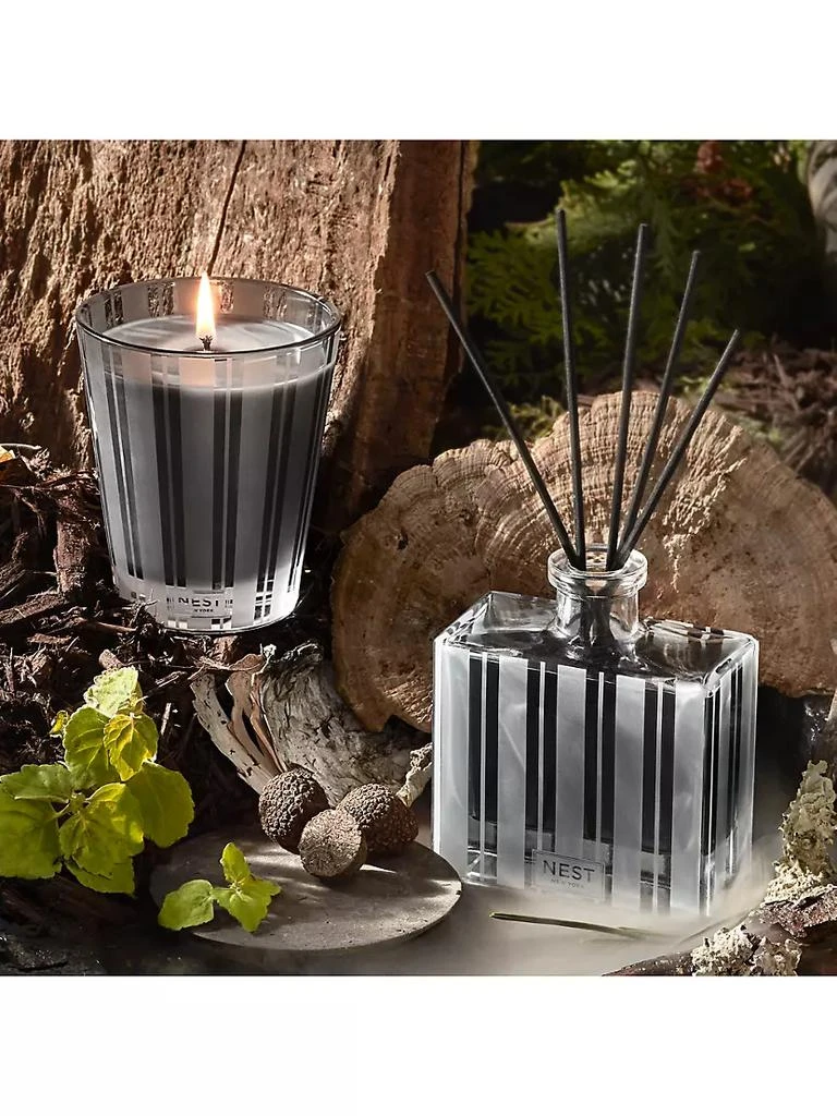商品NEST New York|Charcoal Woods Classic Candle,价格¥304,第4张图片详细描述