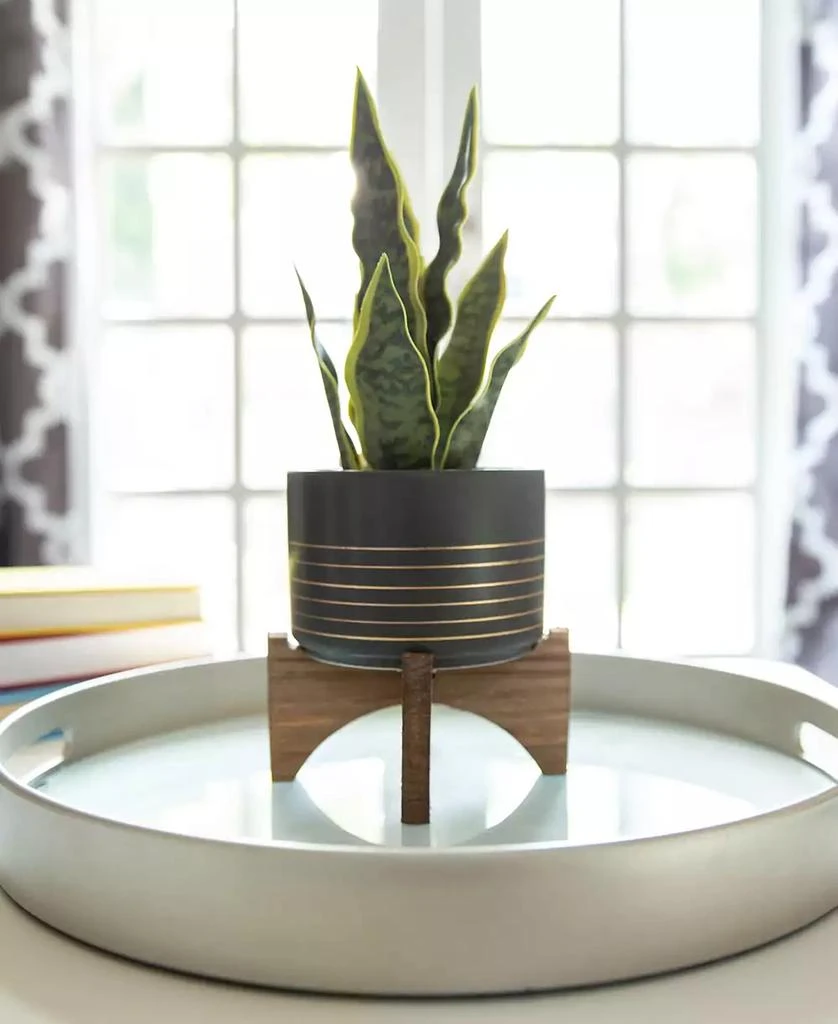 商品Flora Bunda|Ceramic Planter on Wood Stand, 5.5",价格¥296,第3张图片详细描述