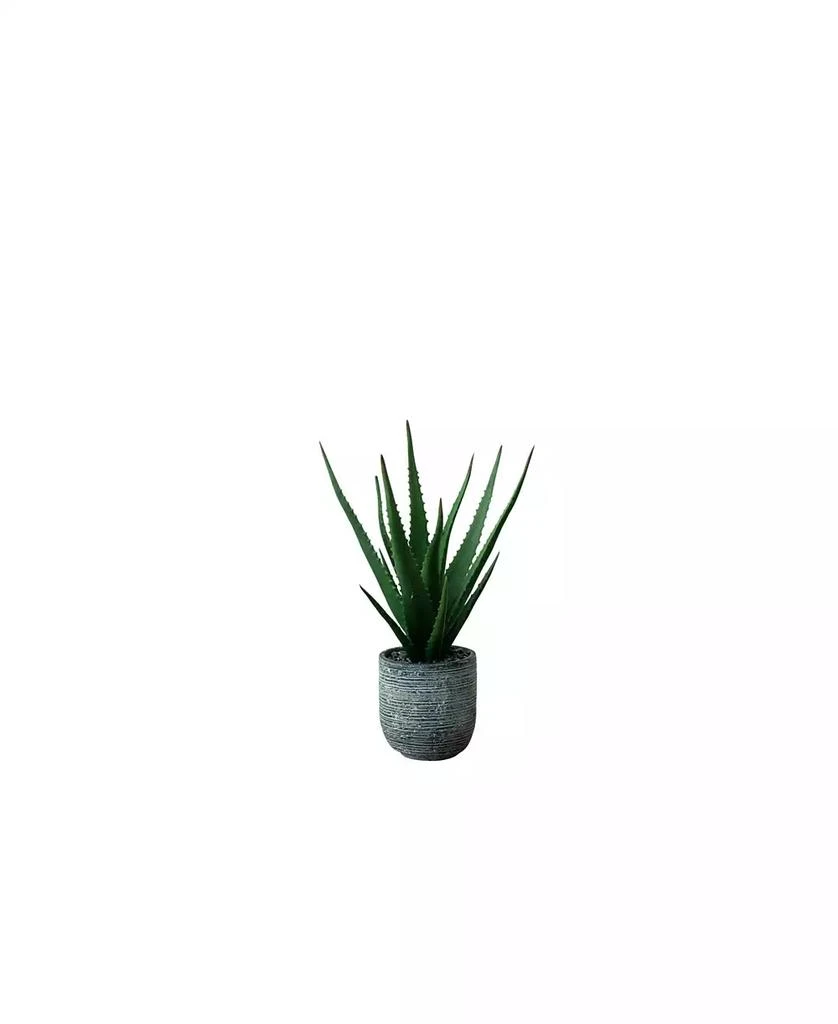 商品Nature's Elements|Desktop Artificial Agave in Decorative Cement Pot,价格¥376,第1张图片