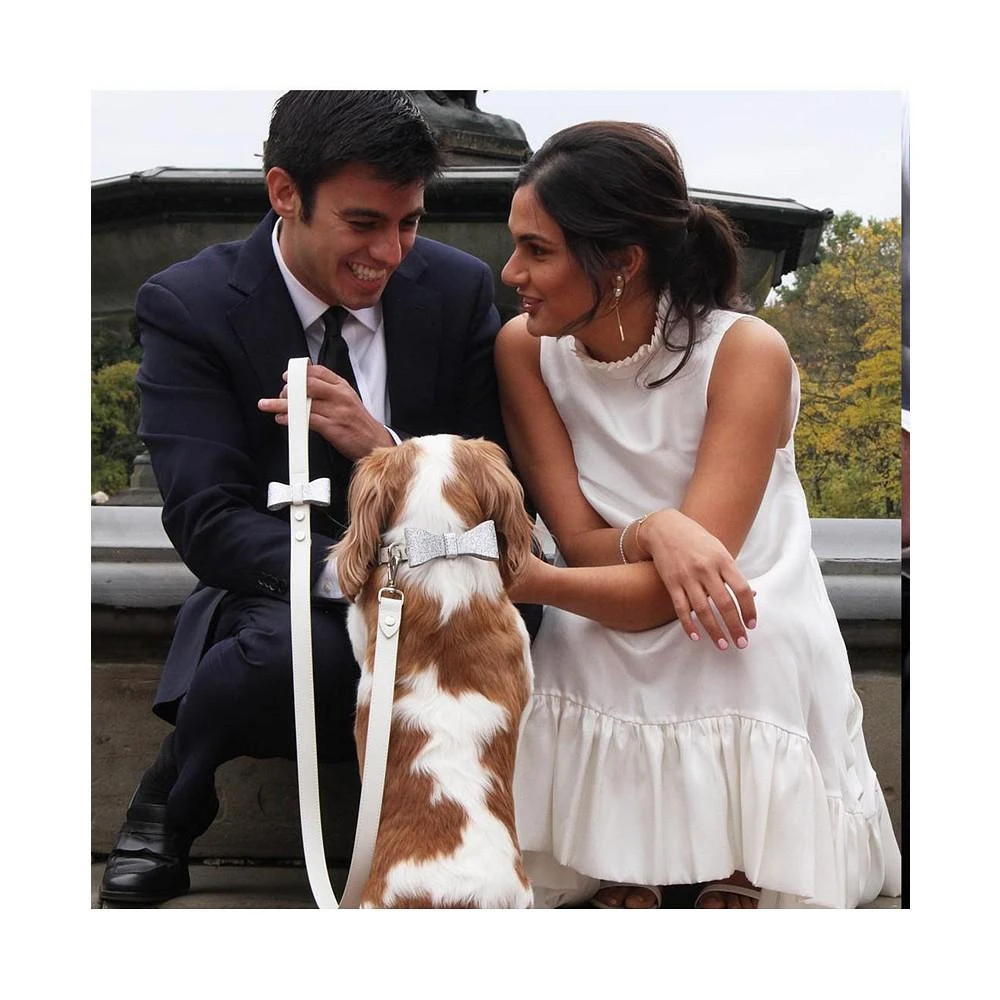 商品Shaya|BEN WHITE WEDDING CAT AND DOG LEASH WITH SILVER FABRIC BOW,价格¥1117,第3张图片详细描述