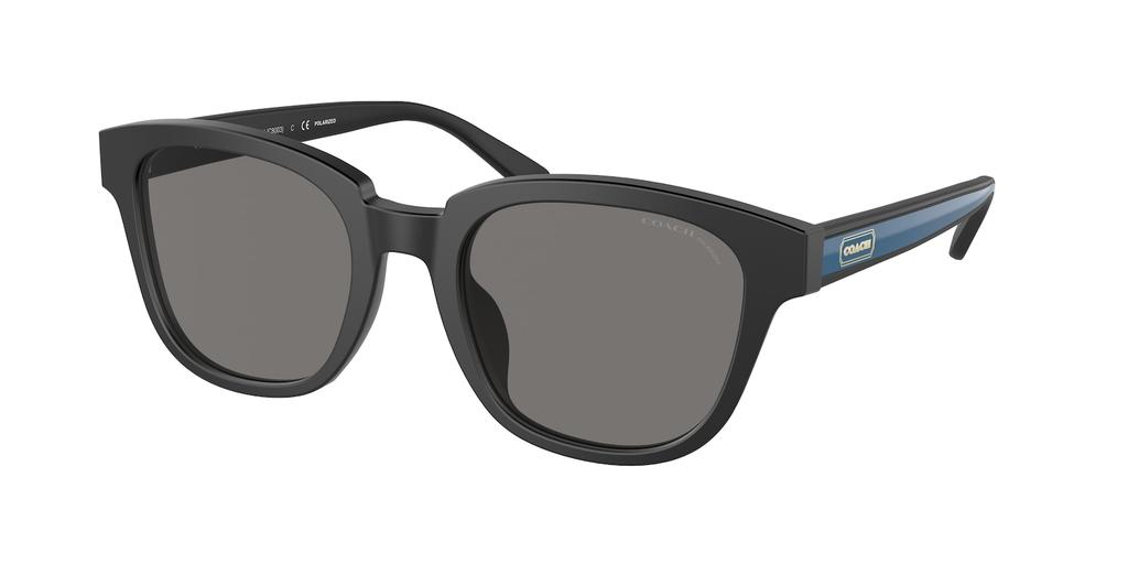 Polarized Dark Grey Square Mens Sunglasses HC8340U 500281 53商品第1张图片规格展示