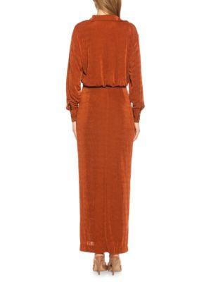 Rae Long Sleeves Button Down Dress商品第2张图片规格展示