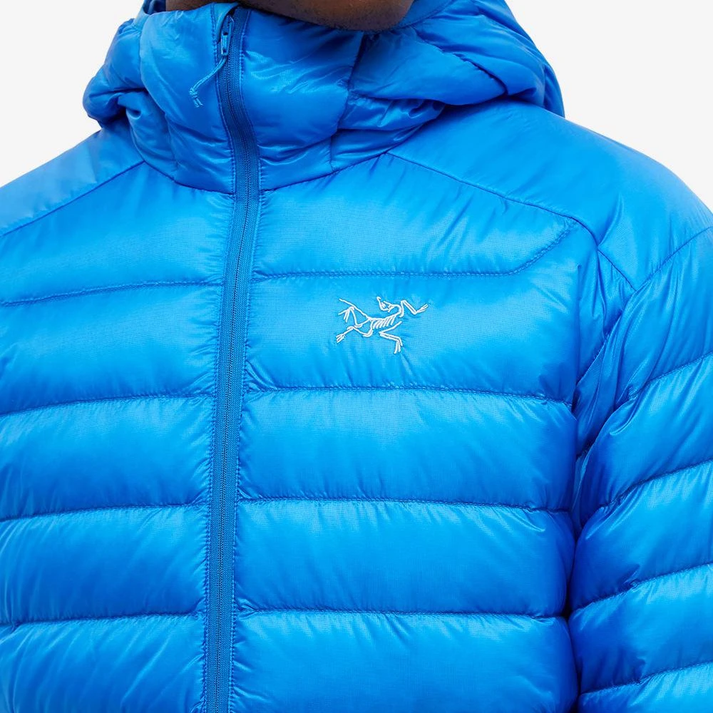 商品Arc'teryx|Arc'teryx Cerium LT Hoody,价格¥2602,第5张图片详细描述