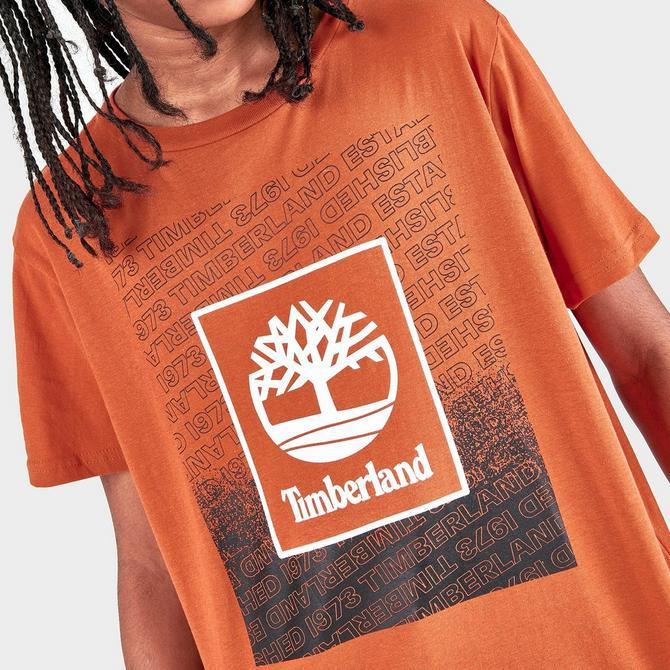 Boys' Timberland Box Logo T-Shirt商品第5张图片规格展示