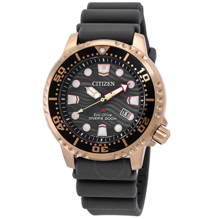 商品Citizen|Promaster Dive Eco-Drive Gray Dial Men's Watch BN0163-00H,价格¥1493,第1张图片