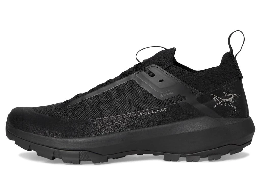 商品Arc'teryx|Vertex Alpine GTX,价格¥1313,第3张图片详细描述