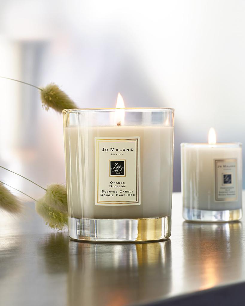 Orange Blossom Home Candle, 7 oz.商品第4张图片规格展示