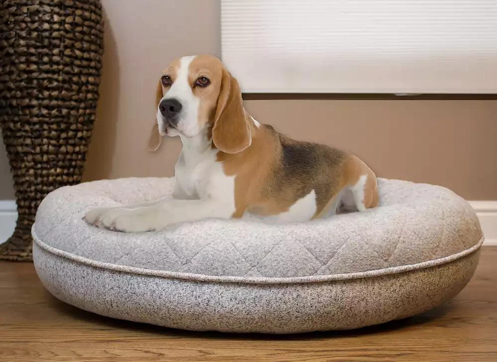 CLOSEOUT! Arlee Donut Lounger and Cuddler Style Pet Bed, Small 商品