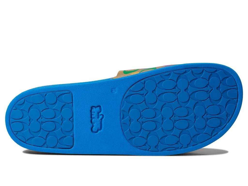 商品Coach|Signature Pride Slide,价格¥425,第3张图片详细描述