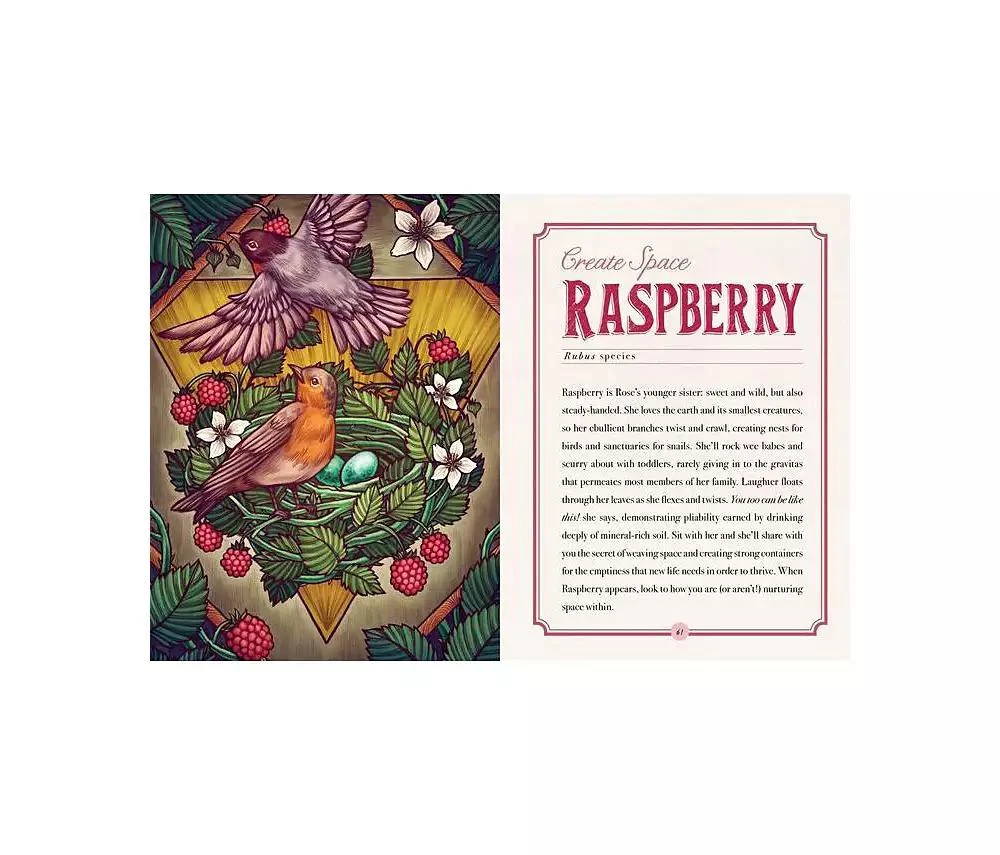 The Illustrated Herbiary - Guidance and Rituals from 36 Bewitching Botanicals by Maia Toll 商品