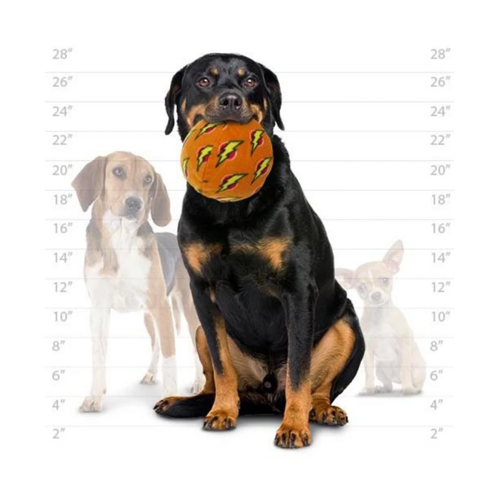 商品Mighty|Ball Large Orange, Dog Toy,价格¥136,第3张图片详细描述