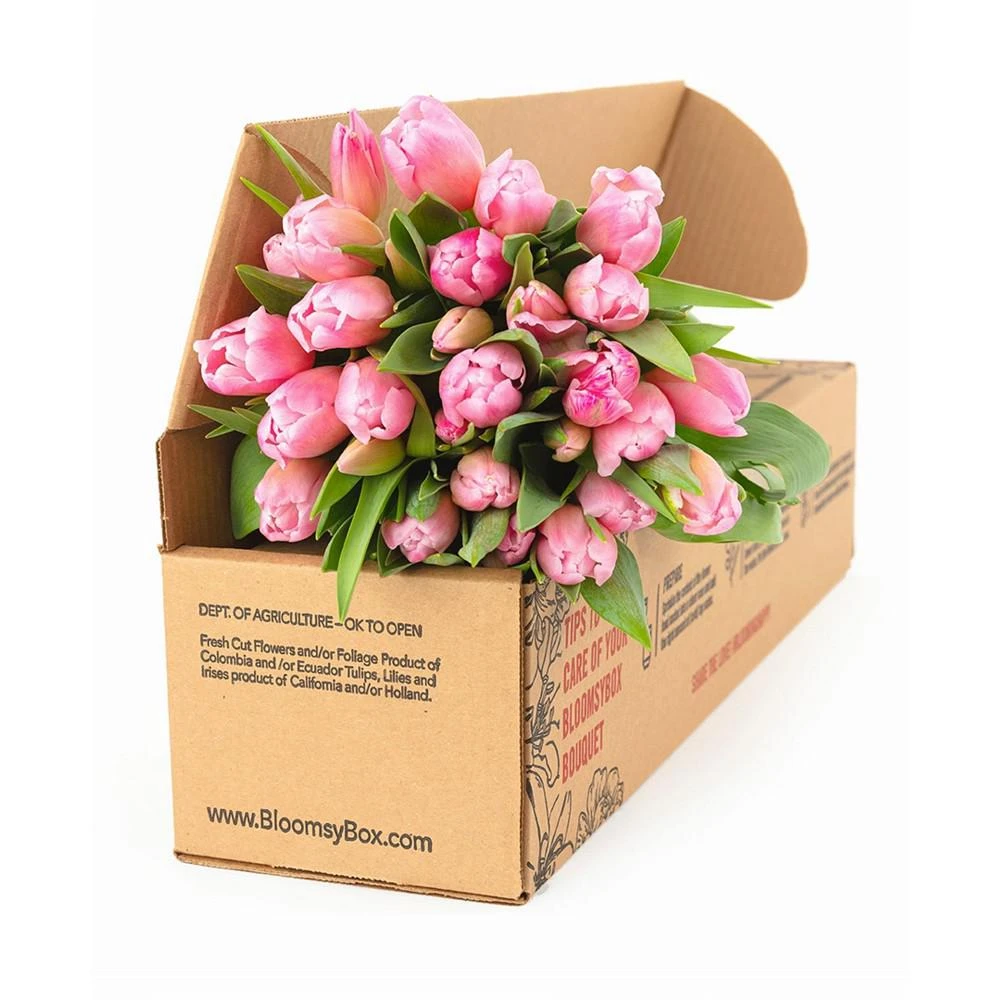 商品BloomsyBox|Princess Tulip Fresh Flower Bouquet,价格¥427,第2张图片详细描述