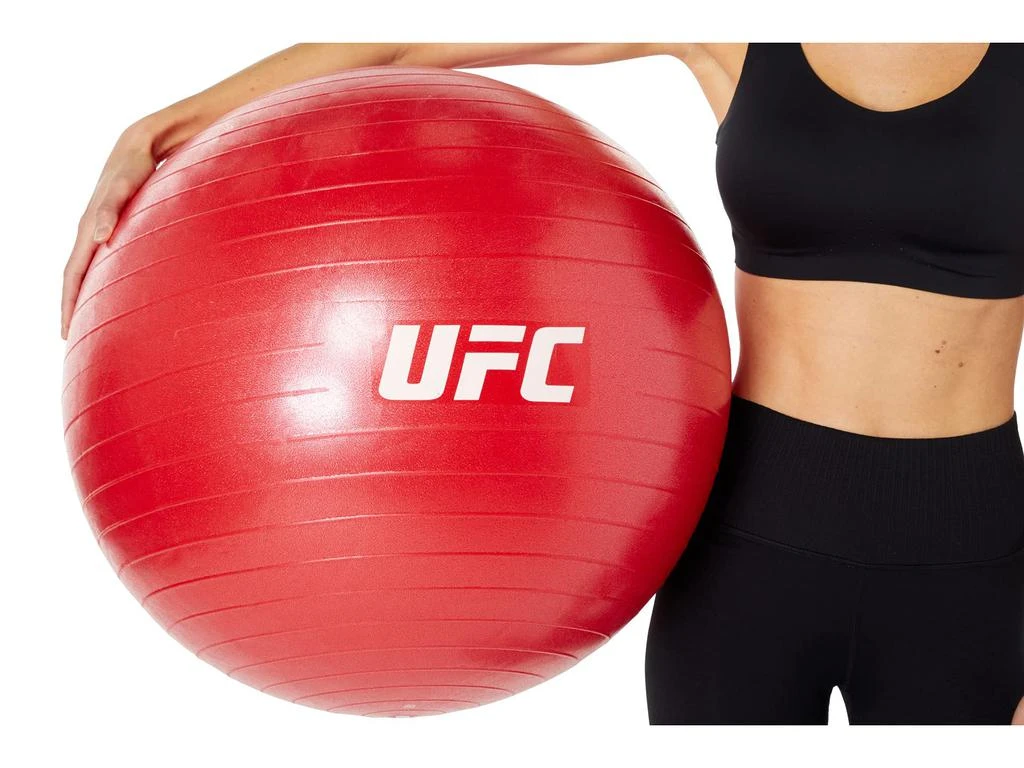 65 cm - UFC Fitball 商品