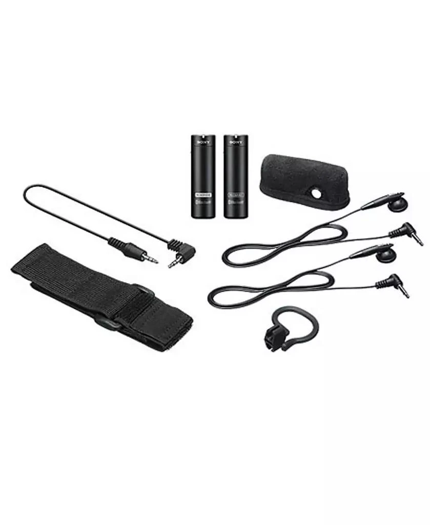 ECM-AW4 Bluetooth Wireless Microphone System 商品