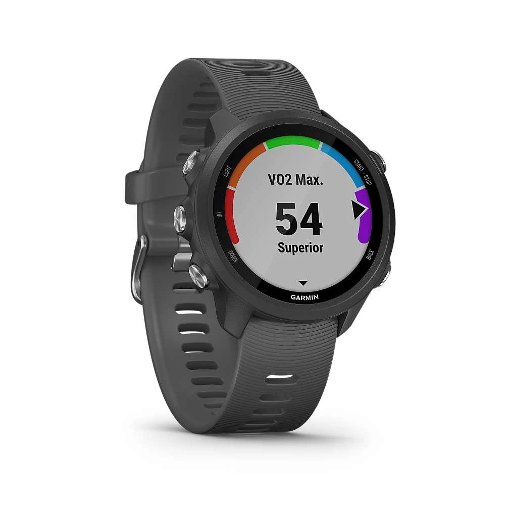 Garmin Forerunner 245 商品