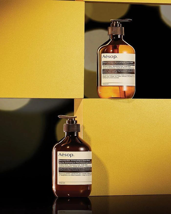 商品Aesop|Resurrection Duet,价格¥1037,第2张图片详细描述