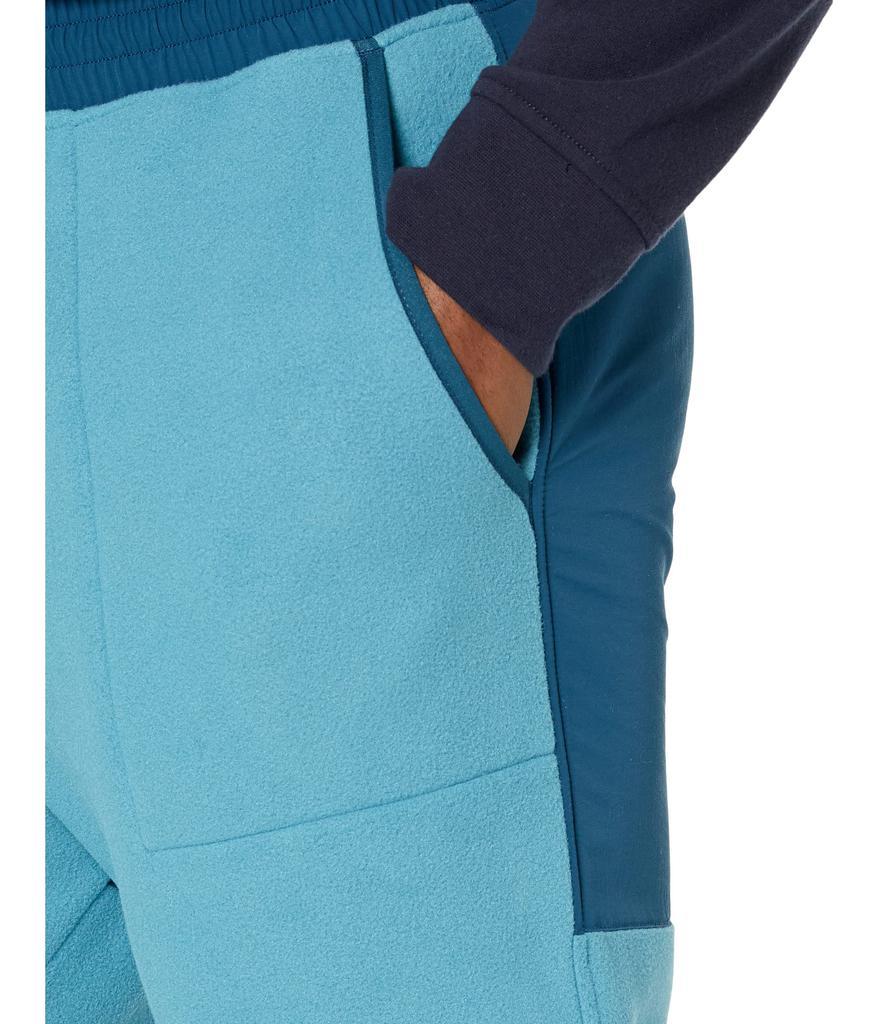 商品The North Face|Denali 2 Pants,价格¥413-¥424,第5张图片详细描述