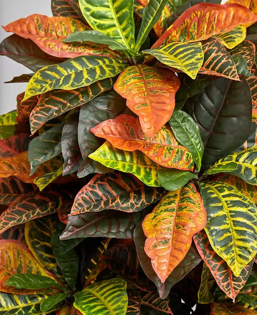 商品NEARLY NATURAL|5.5' Croton Artificial Plant in Decorative Planter - Real Touch,价格¥2485,第4张图片详细描述