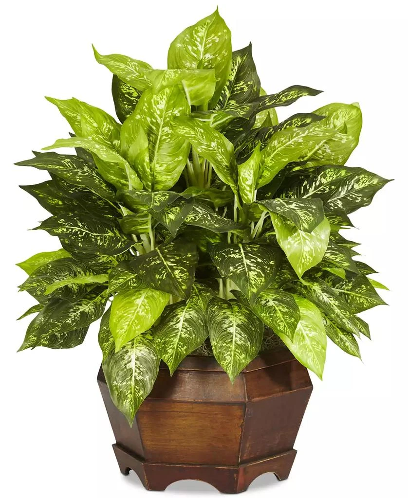 商品NEARLY NATURAL|Variegated Dieffenbachia Artificial Plant in Large Hexagon Planter,价格¥777,第1张图片