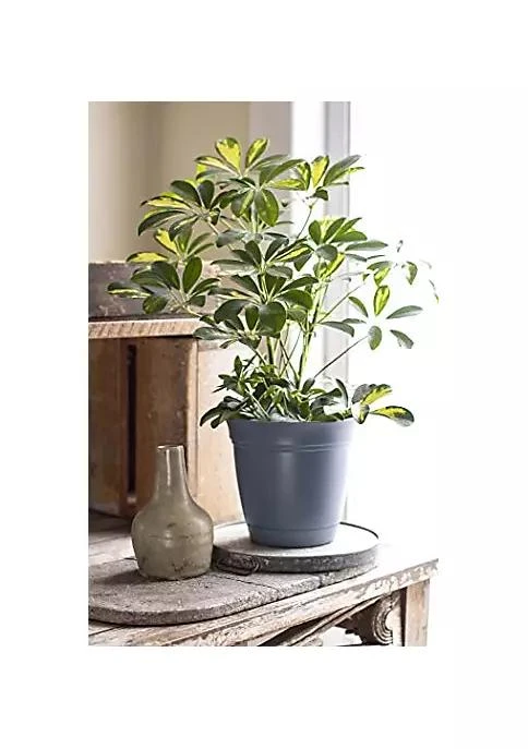 商品The HC Companies|Hc Companies The Hc Companies Eclipse Round Planter 16   Chocolate,价格¥256,第3张图片详细描述