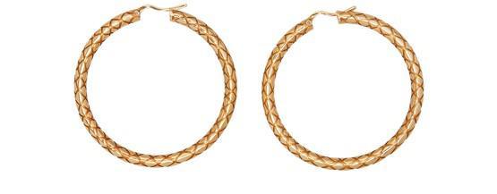 商品Celine|Celine Animals 黄铜粗圈形耳环,价格¥4361,第1张图片