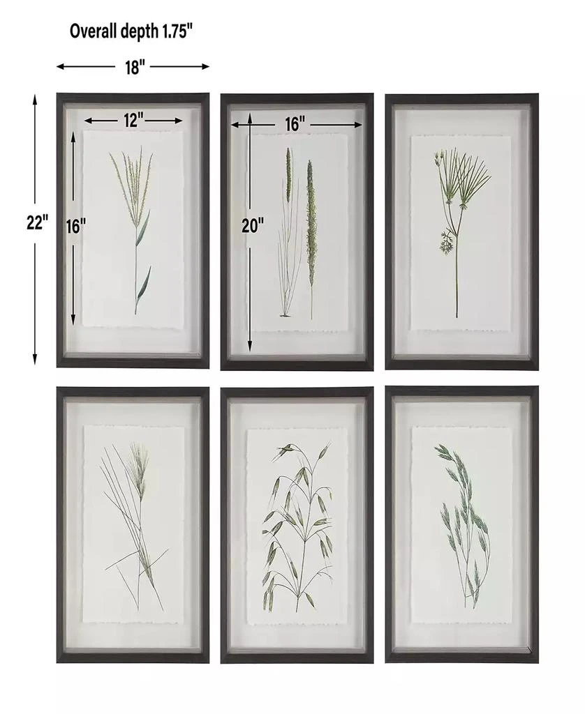 商品Uttermost|Forest Finds Framed Prints Art, Set of 6,价格¥3916,第4张图片详细描述