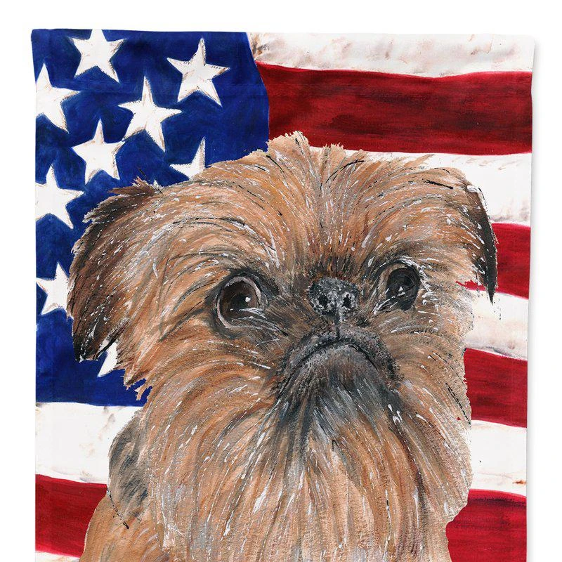 商品Caroline's Treasures|11" x 15 1/2" Polyester Brussels Griffon With American Flag Garden Flag 2-Sided 2-Ply,价格¥137,第1张图片