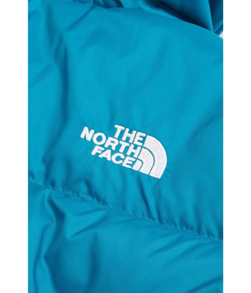 商品The North Face|Moondoggy Hoodie (Little Kids/Big Kids),价格¥589,第2张图片详细描述