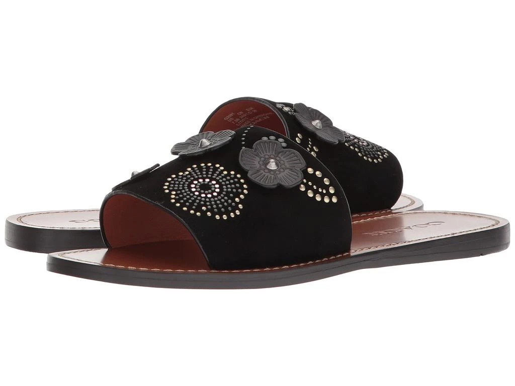 商品Coach|Tea Rose Rivet Slide,价格¥800,第1张图片